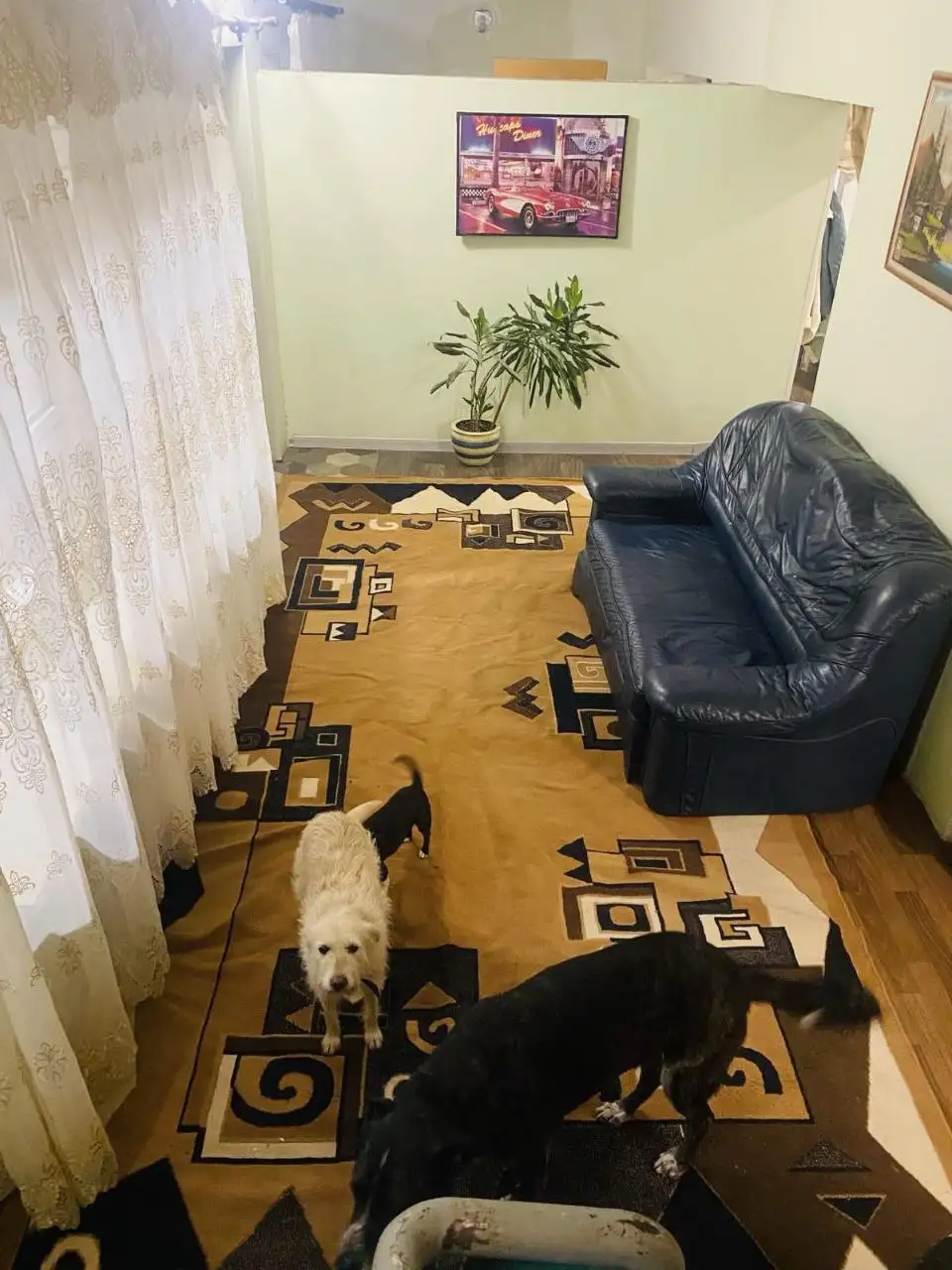 Комната отдыха 1 с видом на сад пансионата и удобным диваном